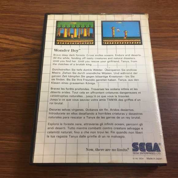 Wonder Boy Sega Master System - Picture 10 of 11